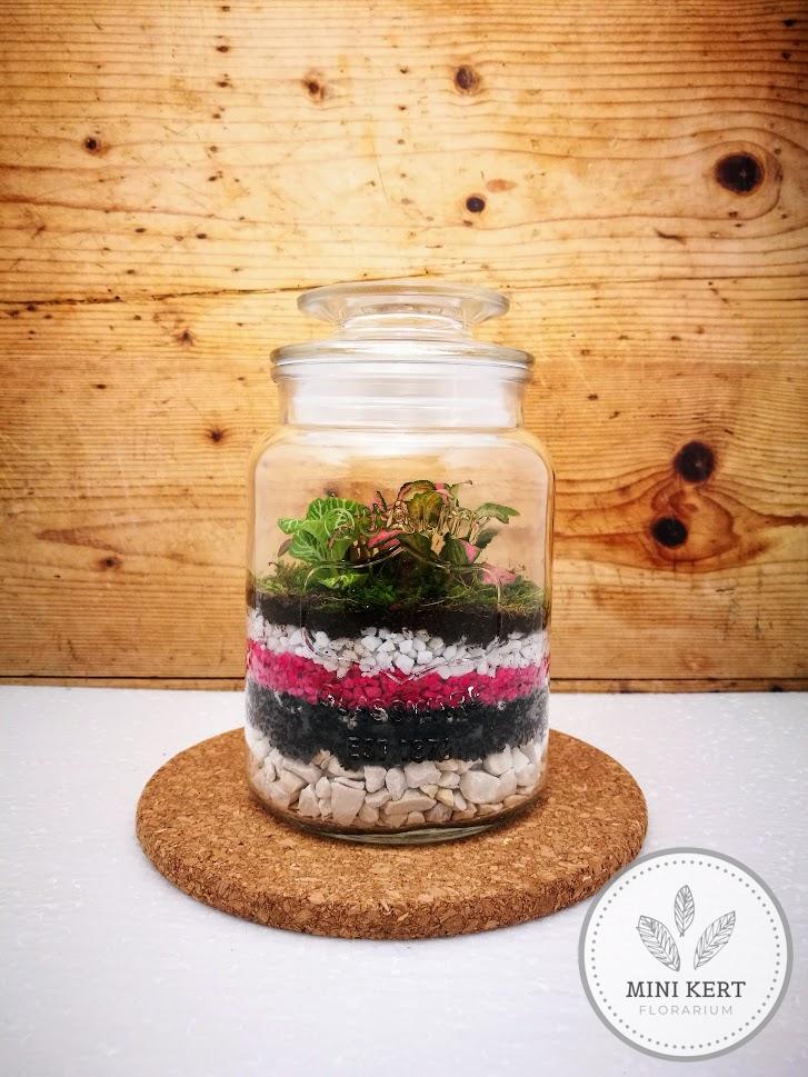 Üvegtetős feliratos kis tároló florárium "Fukszia" - Image 2