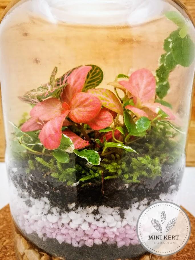 Üvegtetős feliratos tároló florárium "Rózsaszín" - Image 3