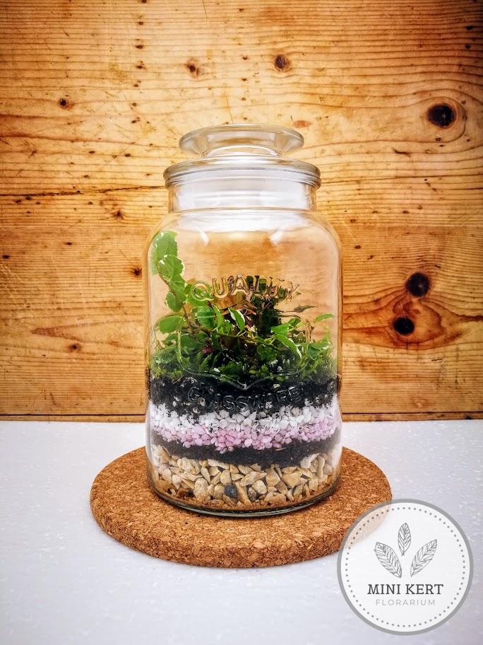 Üvegtetős feliratos tároló florárium "Rózsaszín" - Image 2