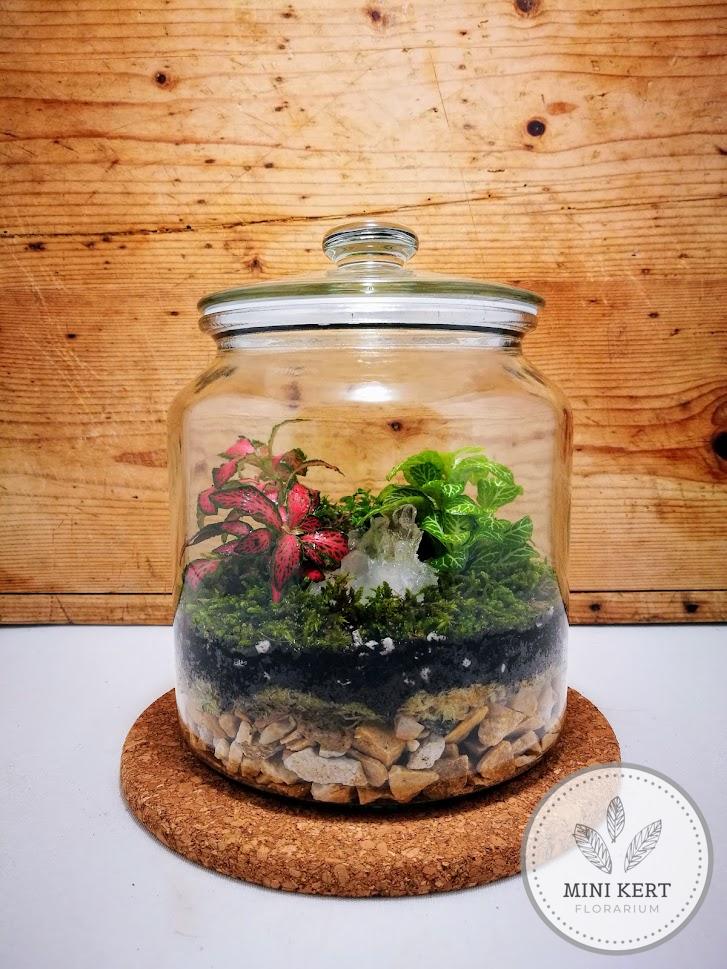 Zárt üvegtetős florárium "Hegyikristály"