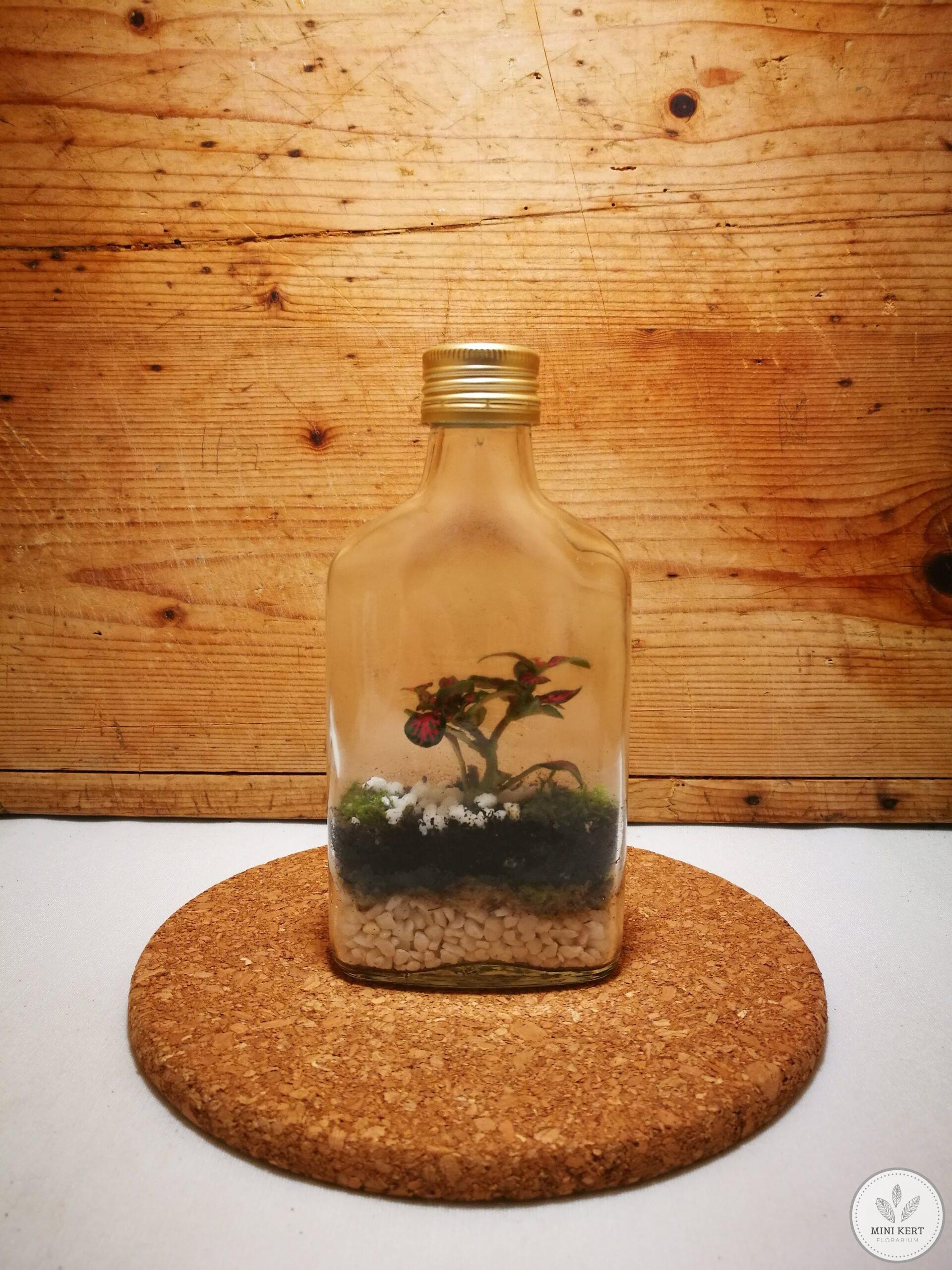 Kis laposüveg florárium - Image 2