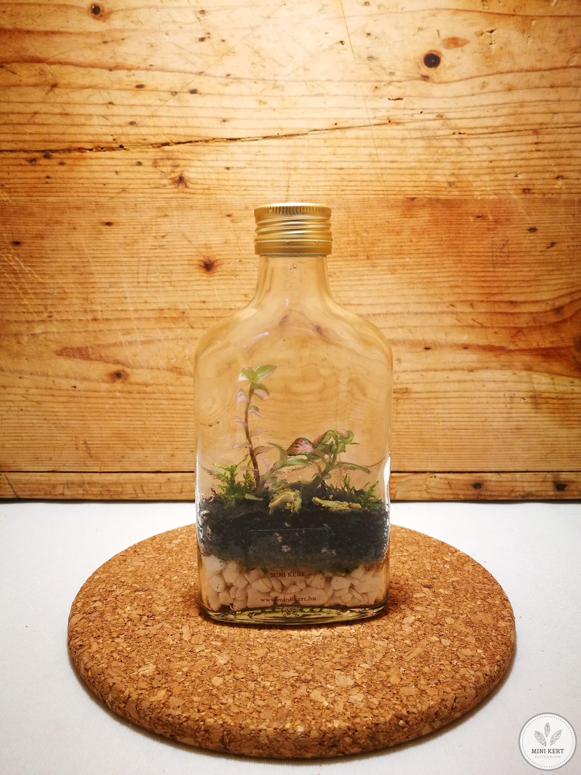 Laposüveg florárium - Image 4