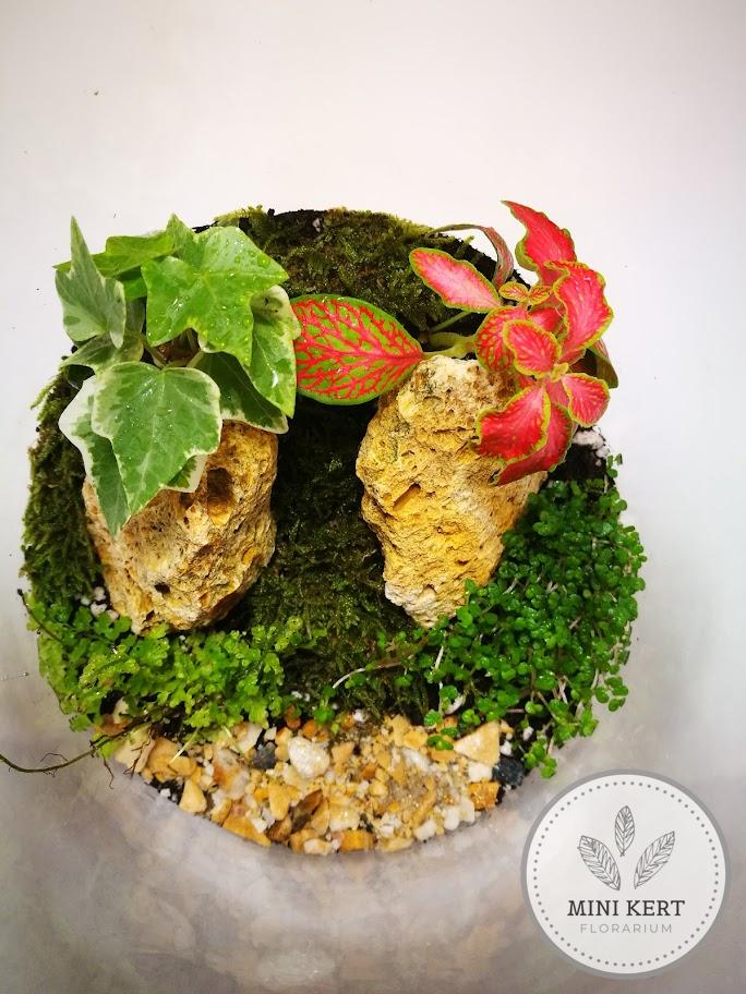 Nagy befőttesüveg florárium "Darázskő" - Image 2