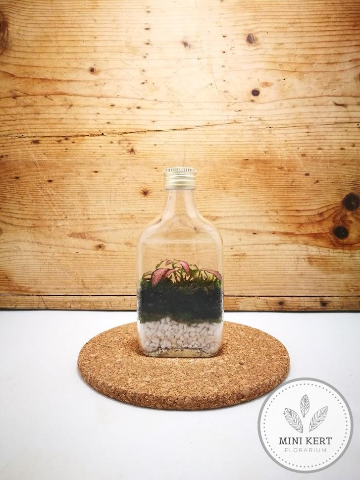 Laposüveg florárium