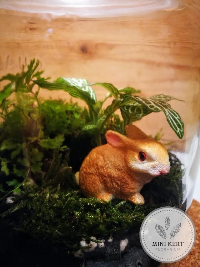 Üvegtetős feliratos kis tároló florárium "Nyúldomb" - Image 2