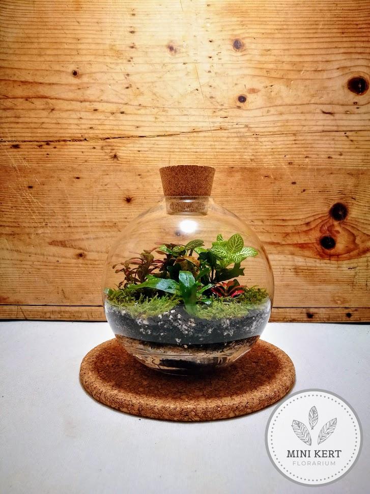 gömb florárium dugóval