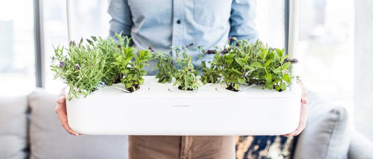 Click&Grow smart garden okos virágcserép