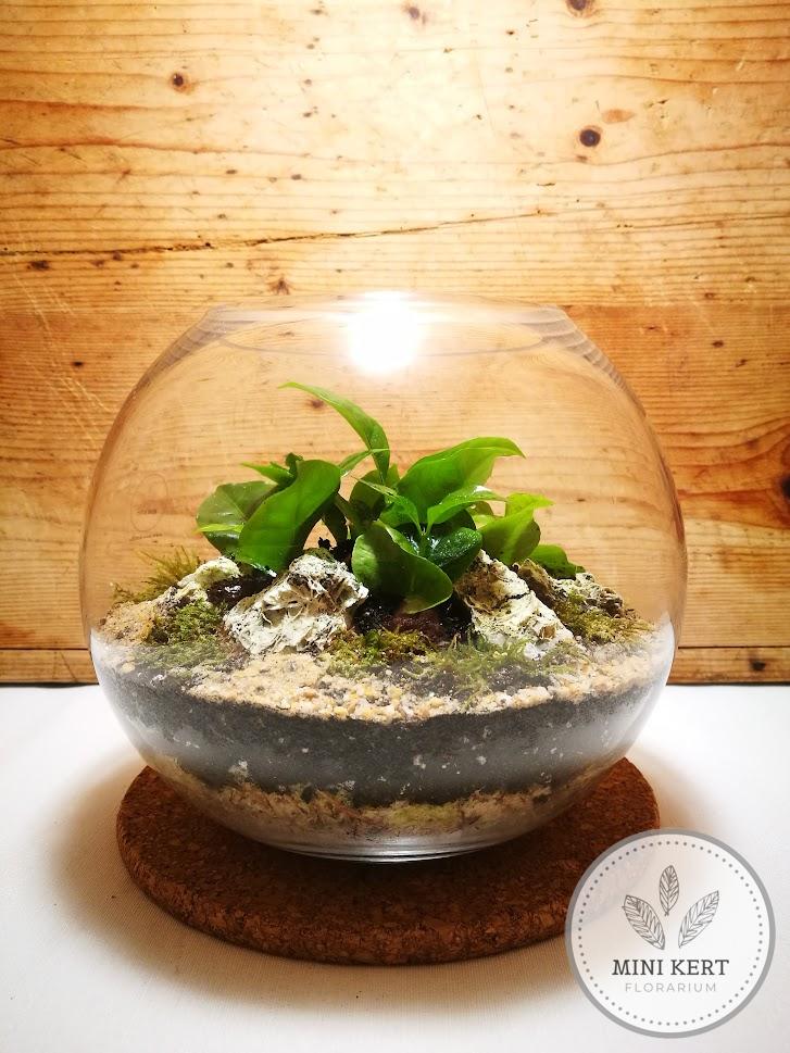 Üveggömb florárium 20 cm-es "Domb"