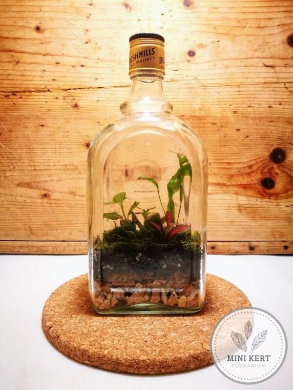 whiskeys üveg florárium