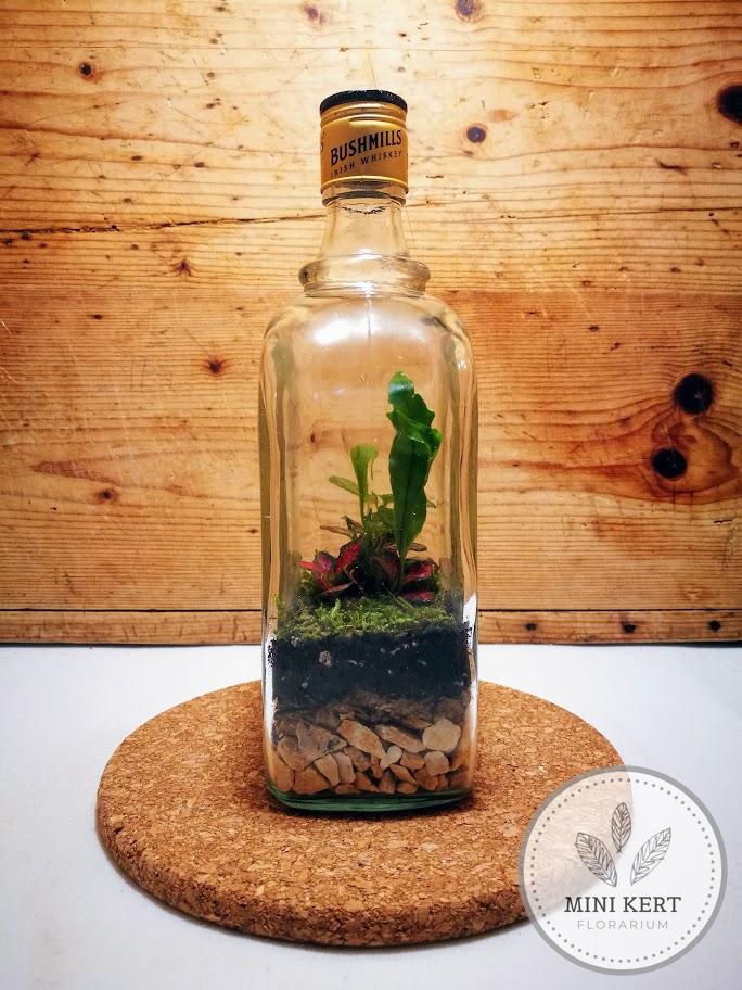 Whiskey-s üveg palackkert - Image 2