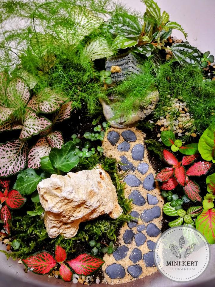 Üveggömb florárium 25 cm-es Tündérházikó