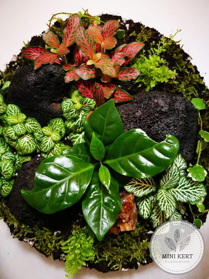 Üveggömb florárium 25 cm-es +"Citrin kristály" - Image 3