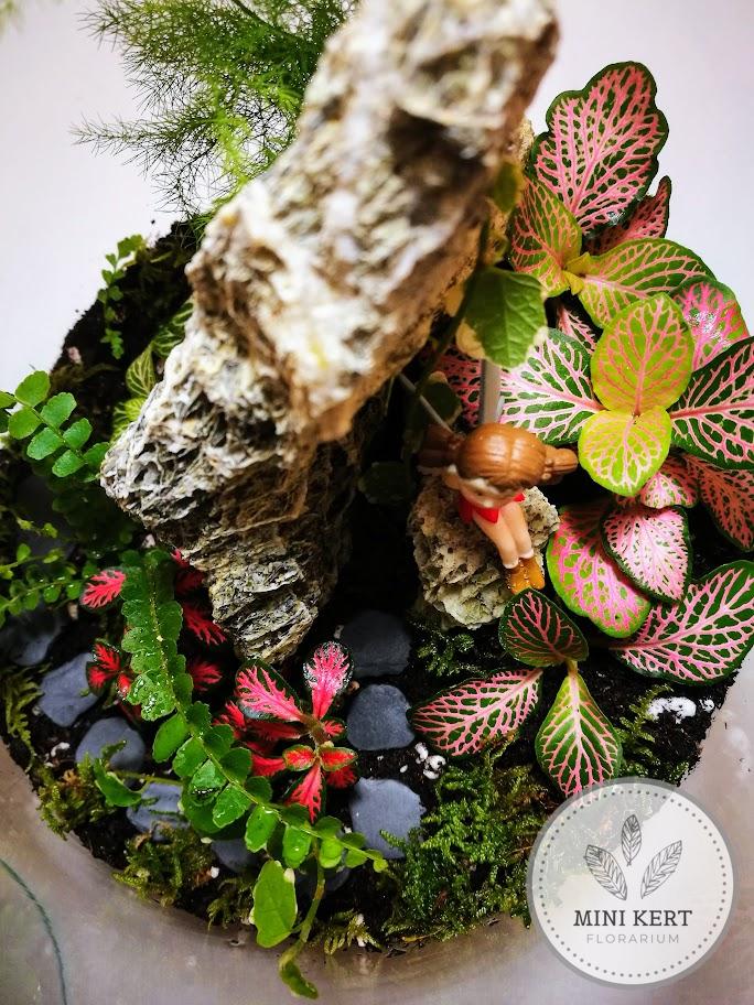 Magas üveg florárium "Tündérkert" - Image 4
