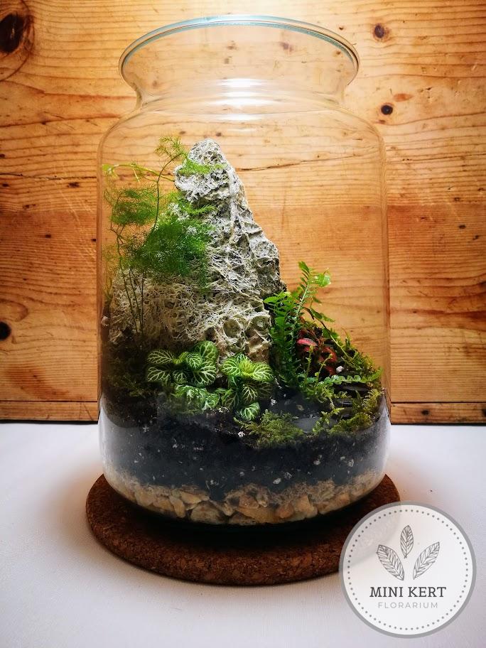 Magas üveg florárium "Tündérkert" - Image 2