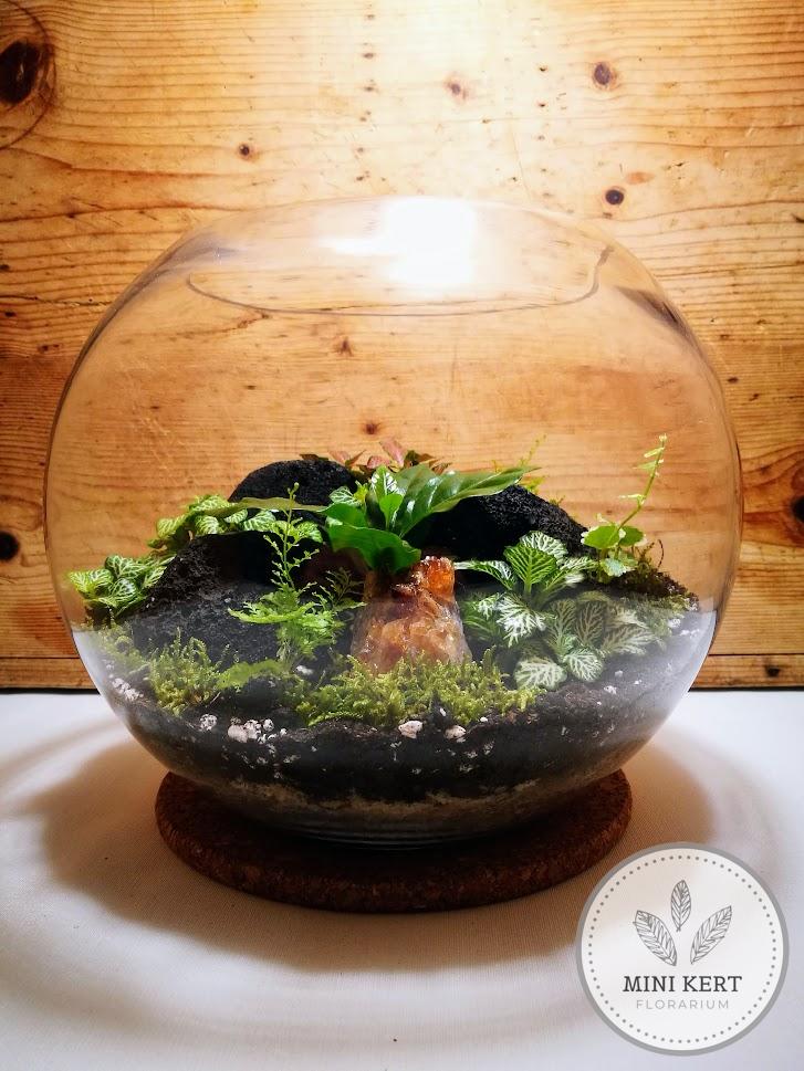 Üveggömb florárium 25 cm-es +"Citrin kristály"
