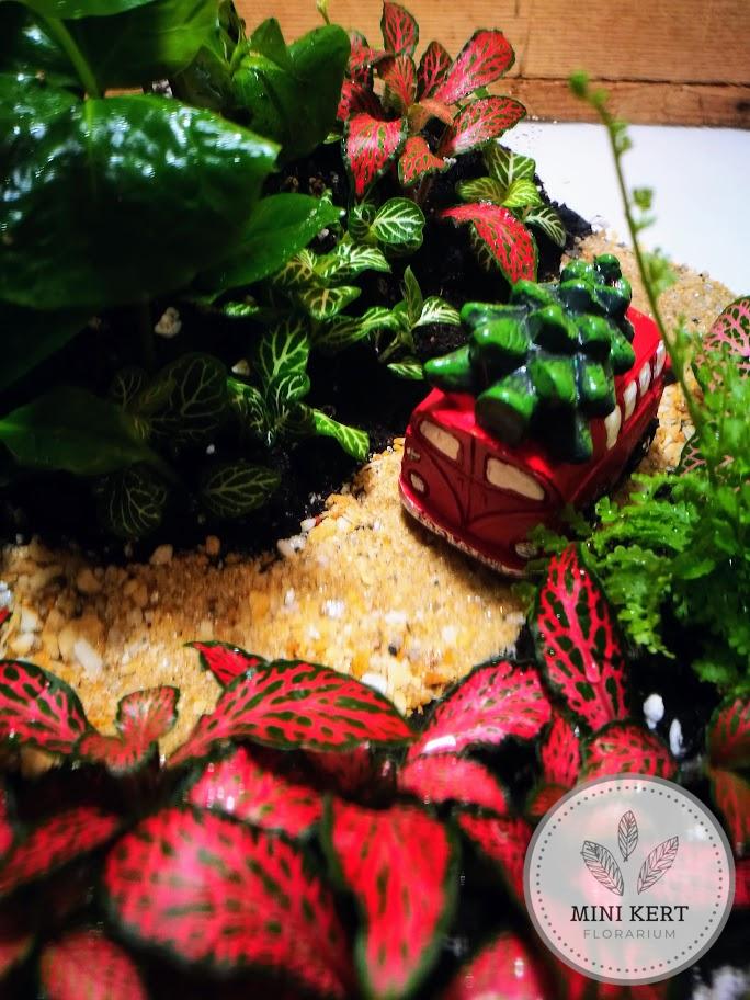 Üveggömb florárium 25 cm-es "Karácsony VW" - Image 4