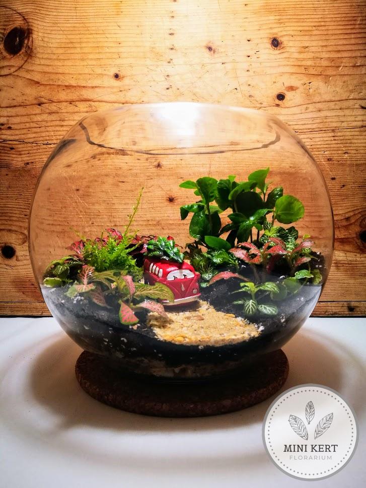 Üveggömb florárium 25 cm-es "Karácsony VW"