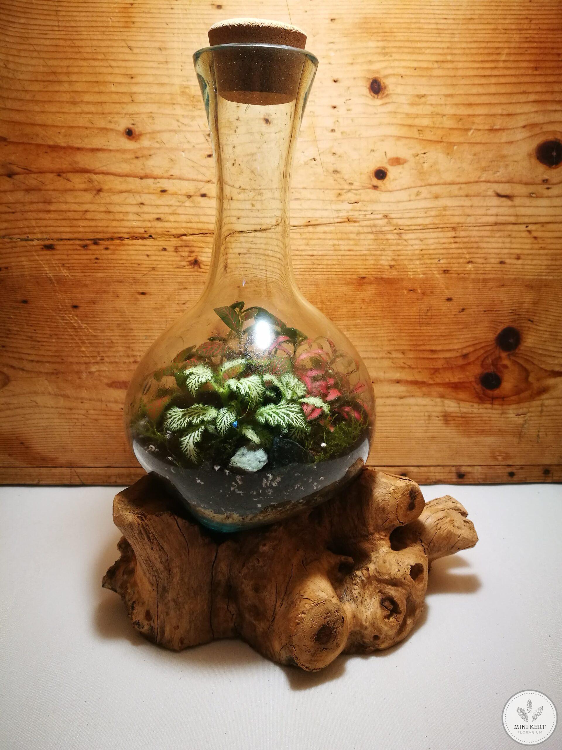 Kayu exkluzív magas florárium - Arif