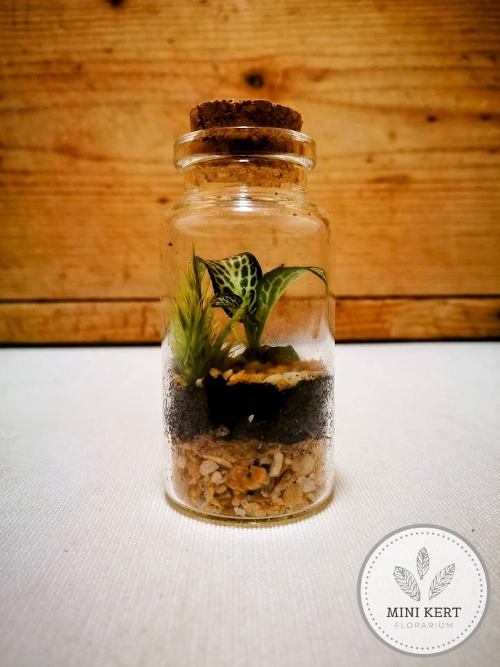 Mini üvegcse florárium