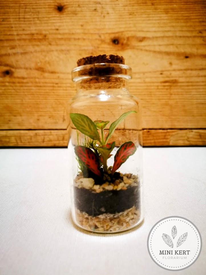 Mini üvegcse florárium