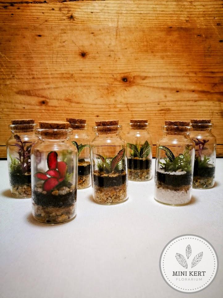 Mini üvegcse florárium