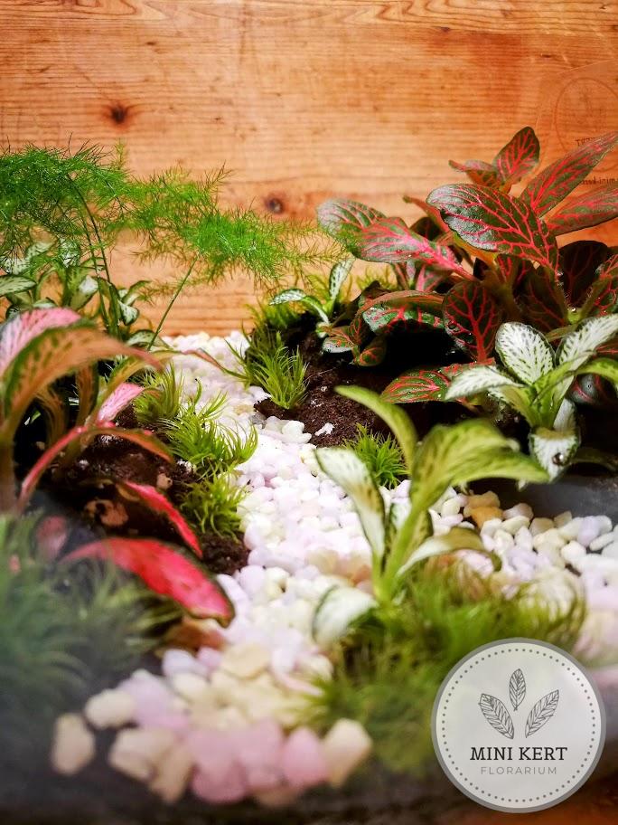 Üveggömb florárium 19 cm-es "Ösvény"