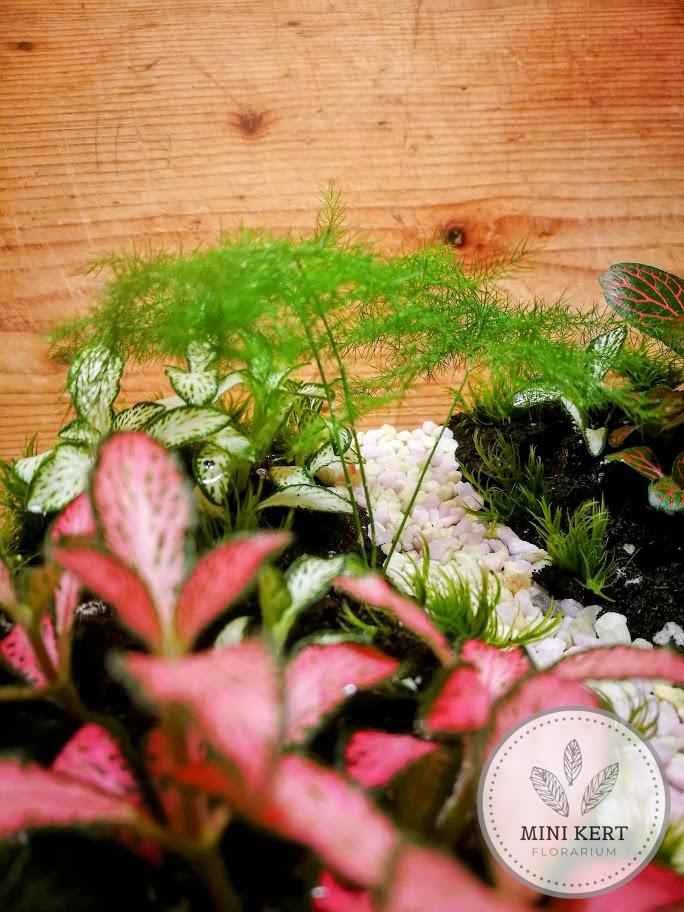 Üveggömb florárium 19 cm-es "Ösvény"