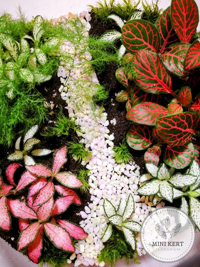 Üveggömb florárium 19 cm-es "Ösvény"