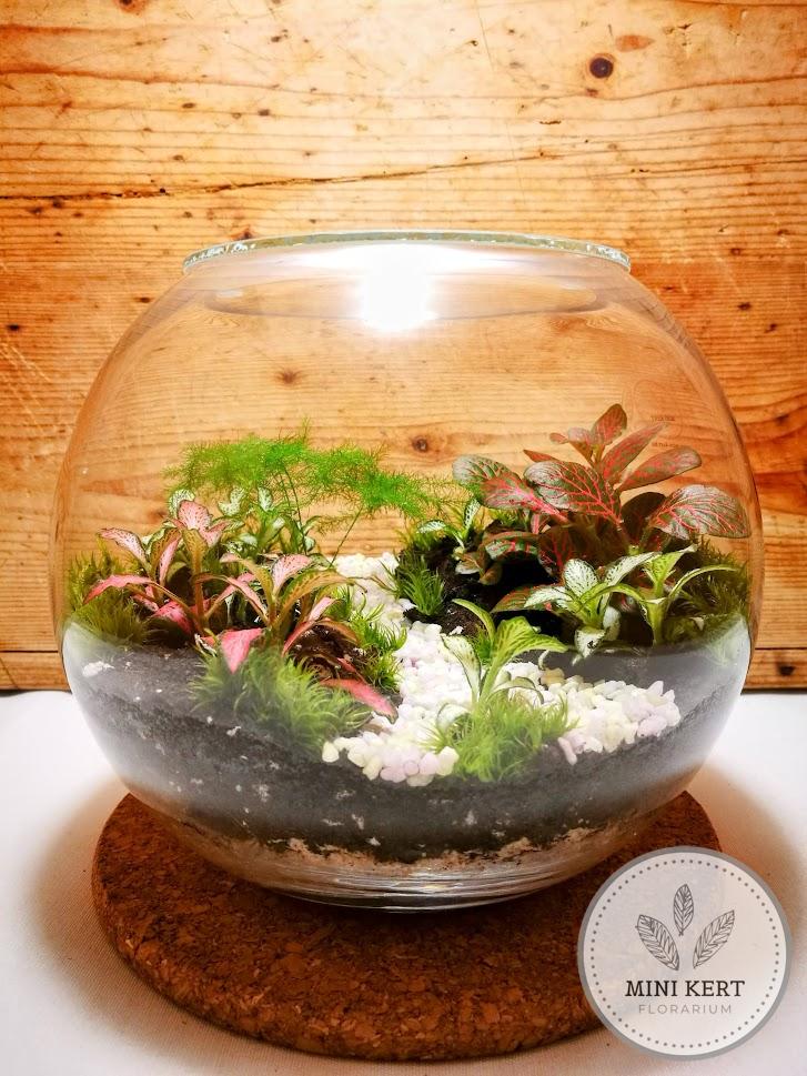 Üveggömb florárium 19 cm-es "Ösvény"