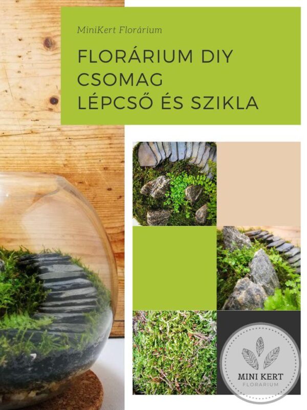 Florárium DIY csomag "Lépcső és szikla"