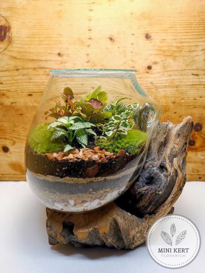 Kayu exkluzív kehely florárium - Aldo