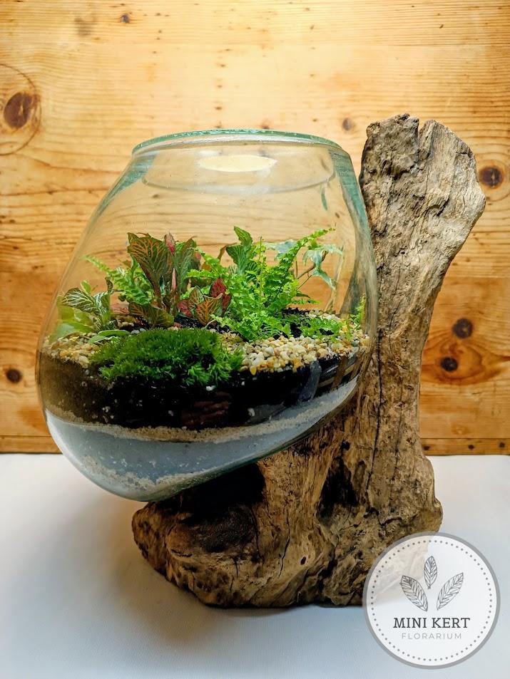 Kayu exkluzív kehely florárium - Aldo