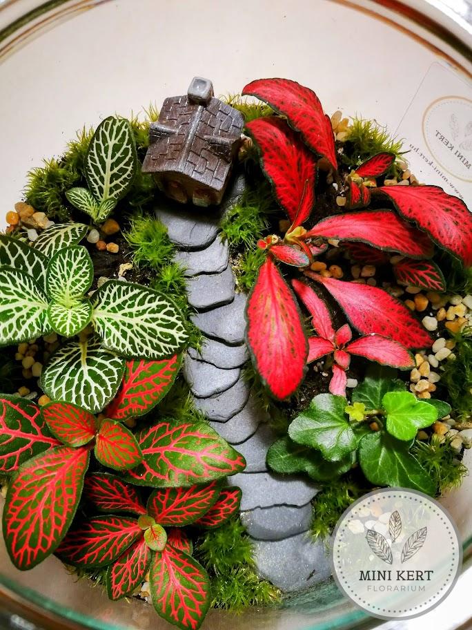 Zárt üvegtetős florárium “Házikó”
