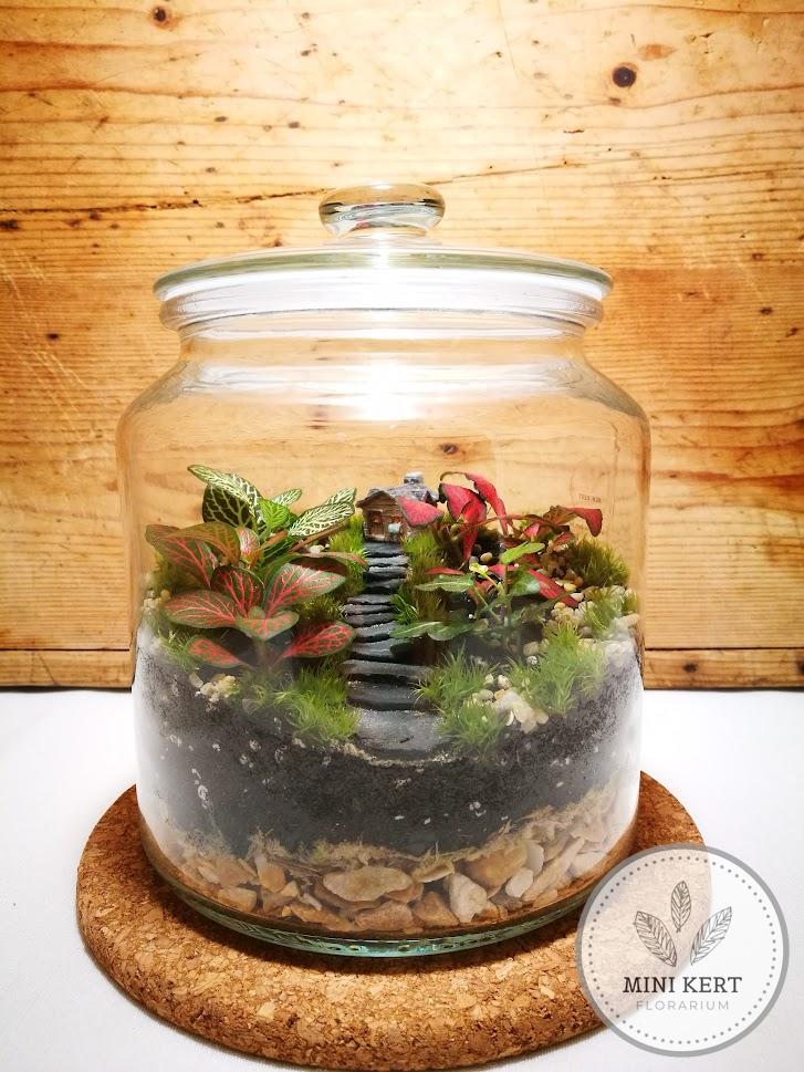 Zárt üvegtetős florárium “Házikó”