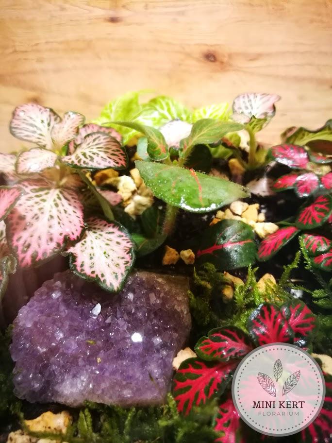 Zárt üvegtetős florárium "Ametiszt" - Image 3