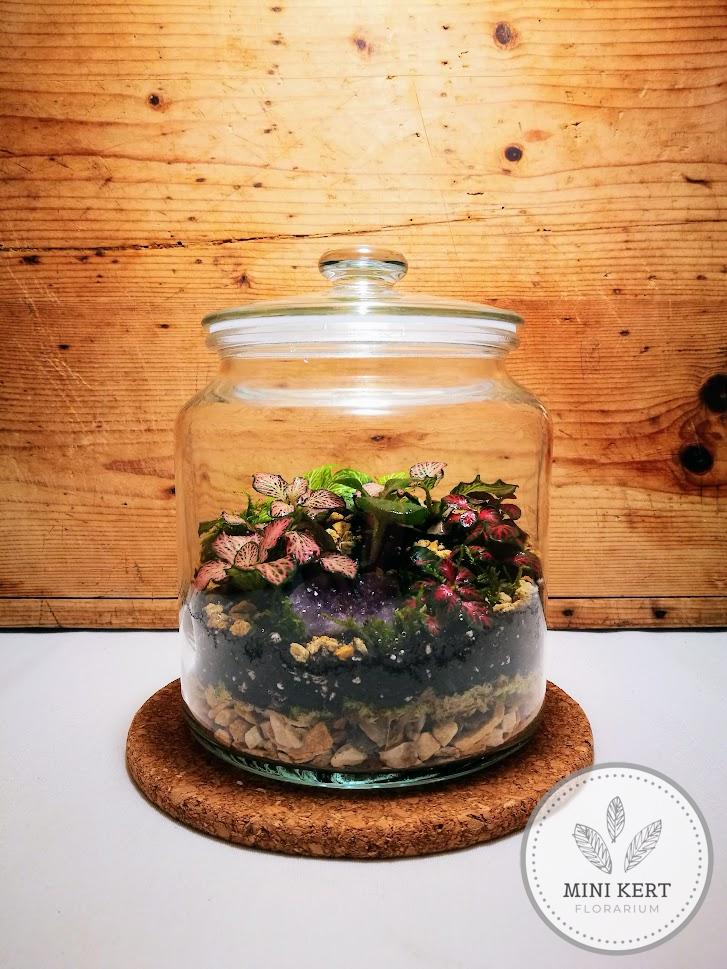 Zárt üvegtetős florárium "Ametiszt"
