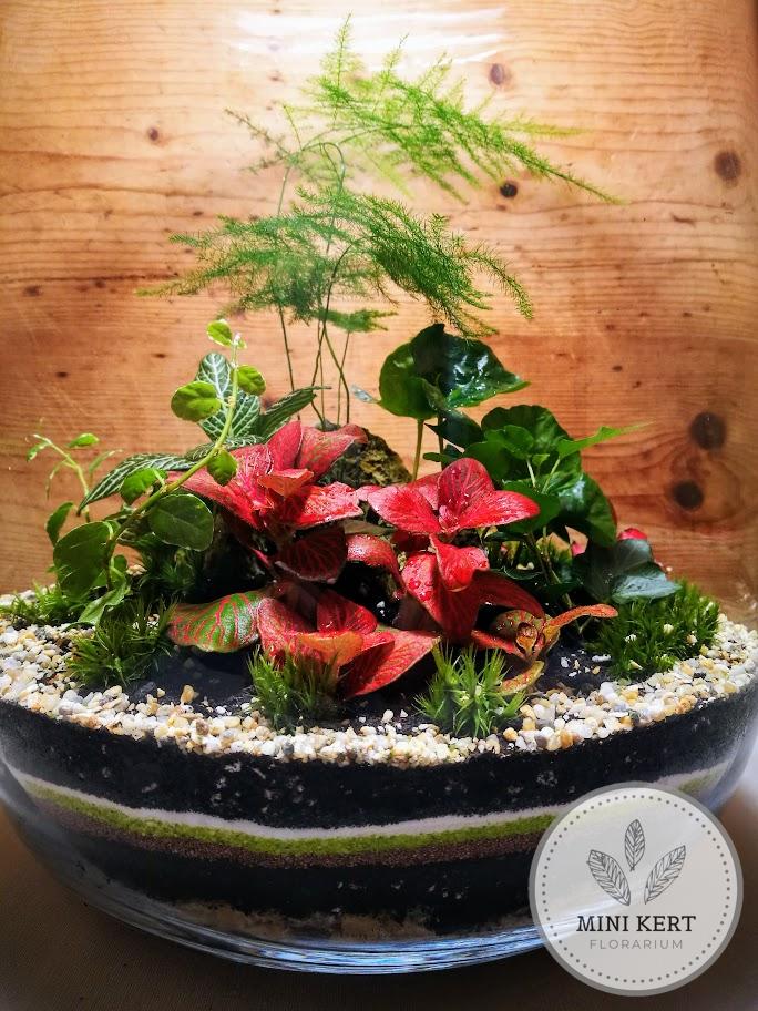 Elegáns üvegtetős florárium 46 cm magas