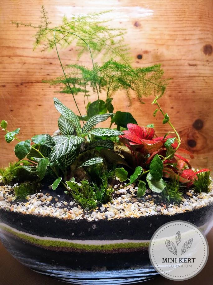 Elegáns üvegtetős florárium 46 cm magas