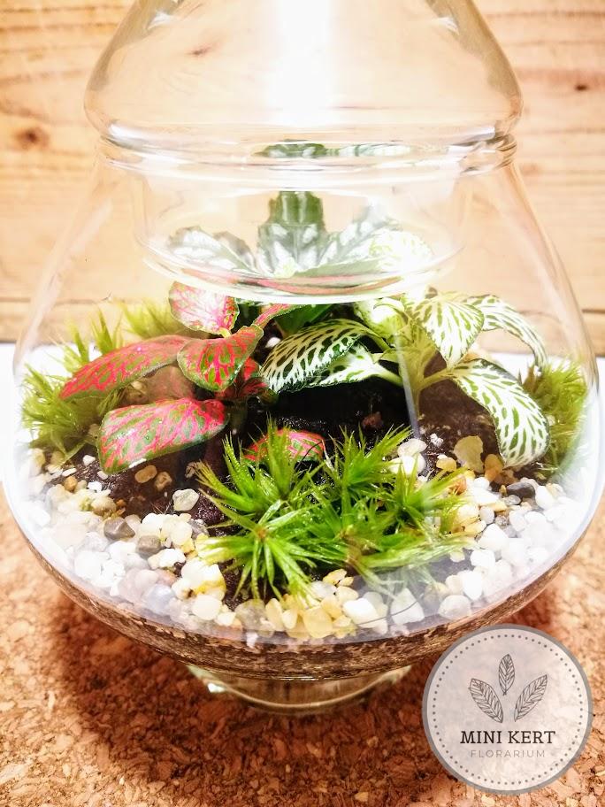 Kis díszüveges florárium 17 cm