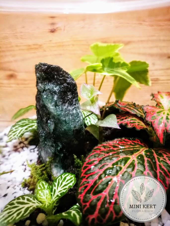 Zárt üvegtetős florárium "Fuchsit"