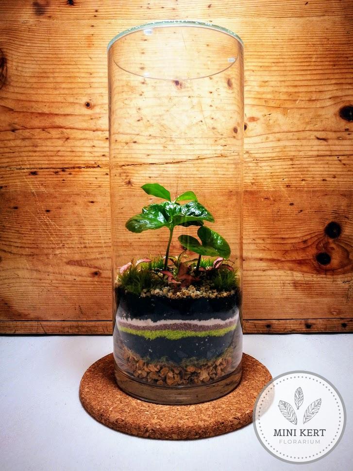 Magas üveghenger florárium