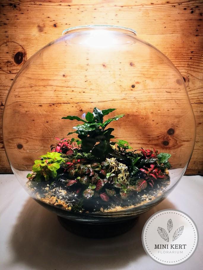 Óriás üveggömb florárium 38 cm