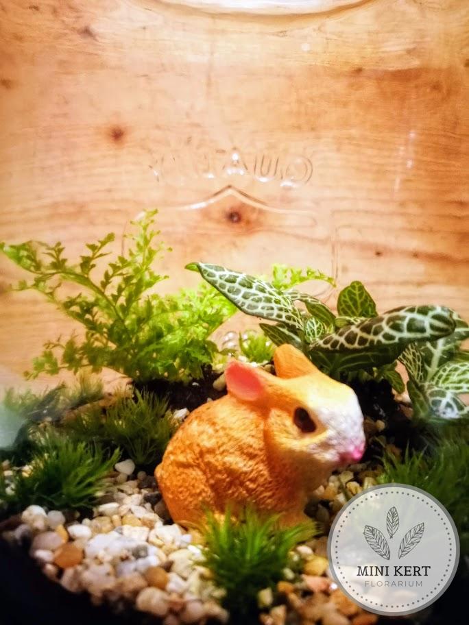 Florárium - Nyuszi a zöldben