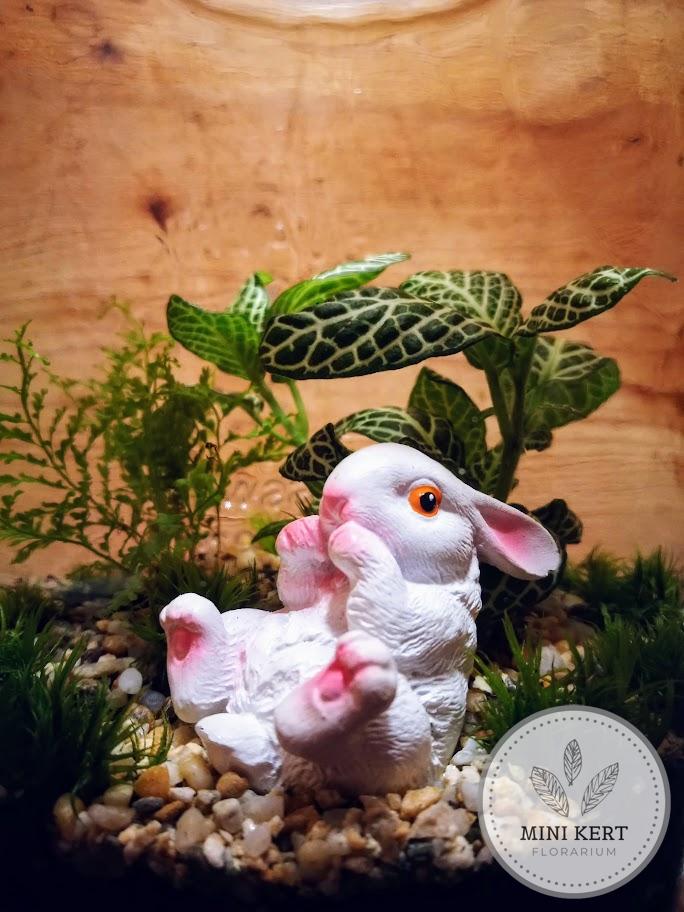 Florárium - Nyuszi a zöldben