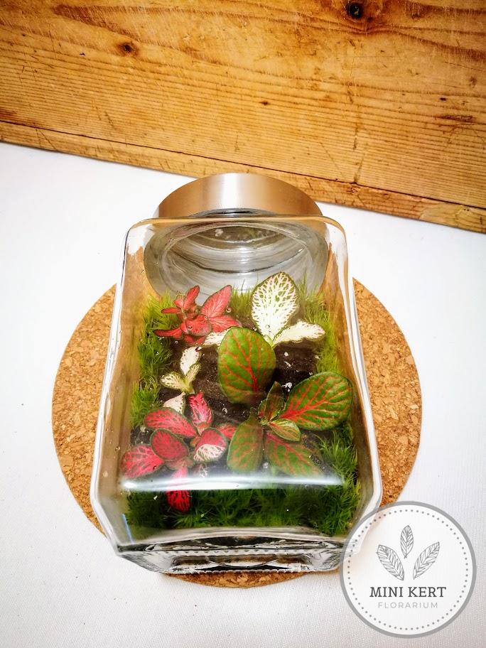 Fekvő üvegtartály florárium közepes