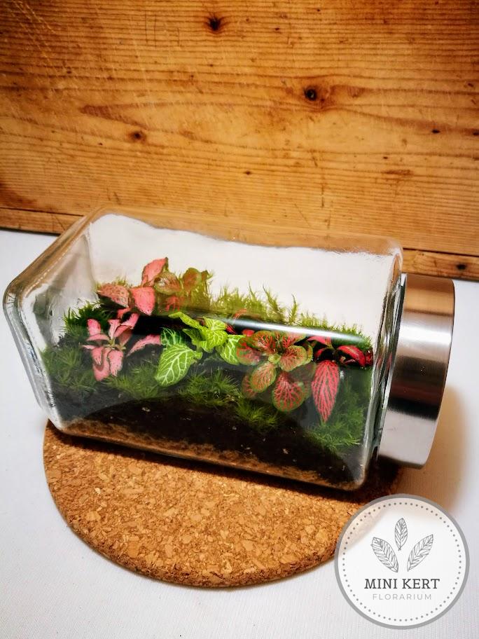 Fekvő üvegtartály florárium nagy