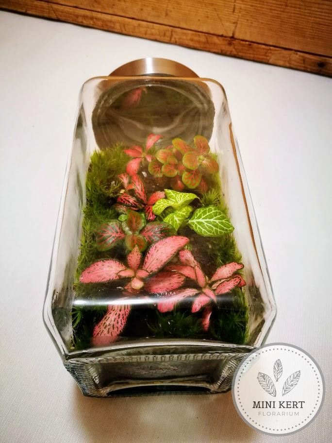 Fekvő üvegtartály florárium nagy