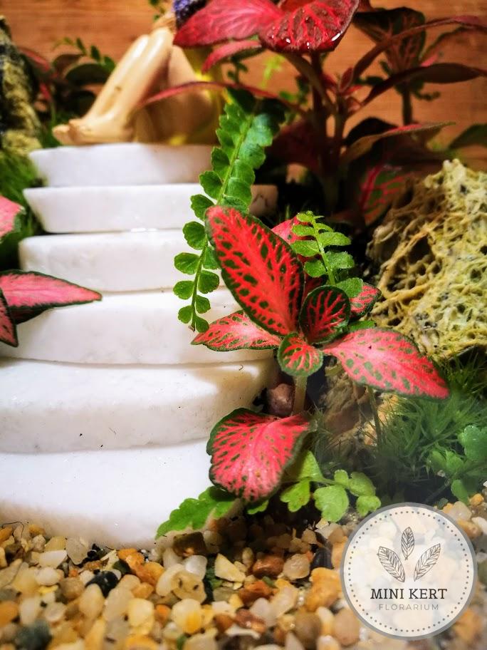 Üvegbödön florárium "fehér márványlépcső"