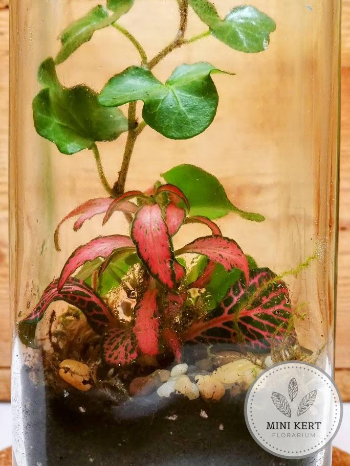 Szörpösüveg palackkert