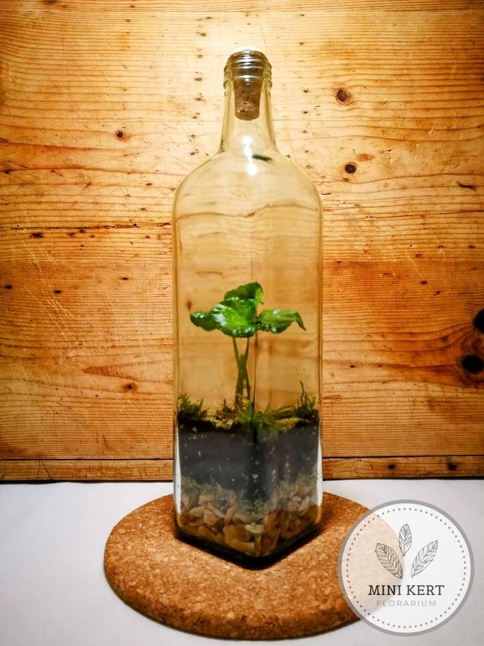 Szörpösüveg palackkert